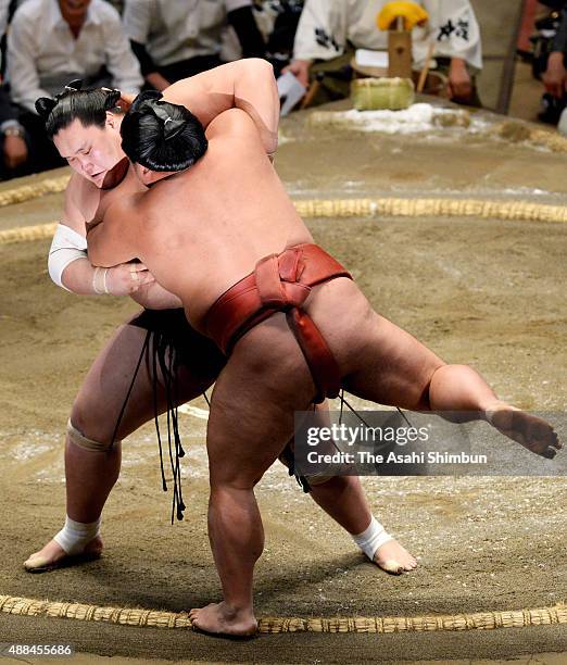 Mongolian ozeki Terunofuji pushes Yoshikaze out of the ring to win during day four of the Grand Sumo Autumn Tournament at Ryogoku Kokugikan on...