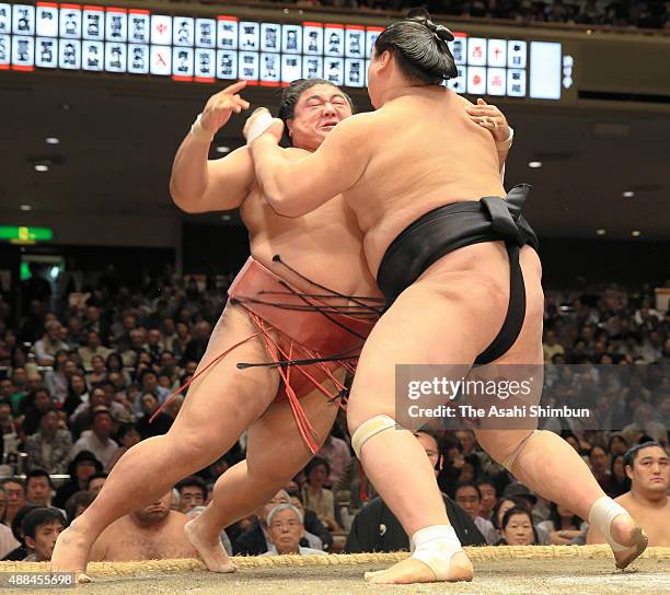 Mongolian ozeki Terunofuji pushes Yoshikaze out of the ring to win during day four of the Grand Sumo Autumn Tournament at Ryogoku Kokugikan on...