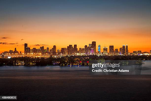 view onto mmiami citylights skyline at night - downtown miami ストックフォトと画像