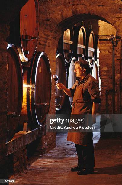 man in wine cellar in tuscany, italy - tuscany stock pictures, royalty-free photos & images