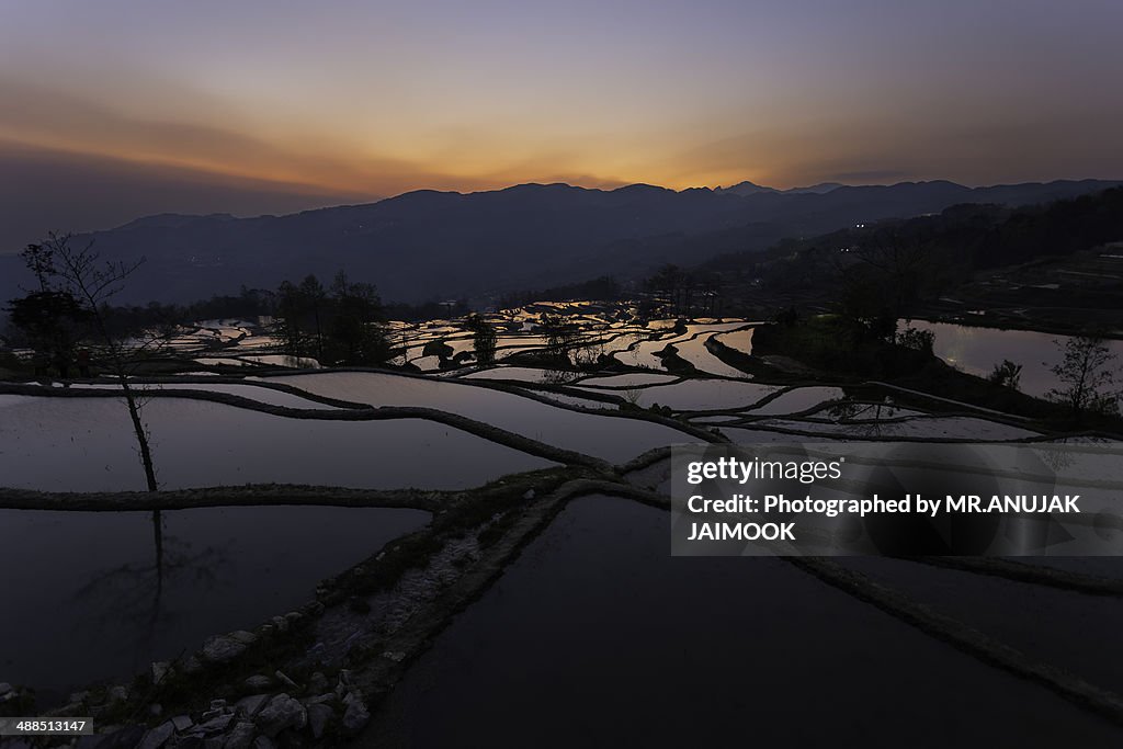 The mountain of rice terrace at Yuanyang, China