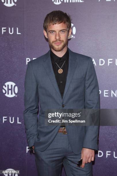 Actor Harry Treadaway attends the "Penny Dreadful" series world premiere at The Highline Hotel on May 6, 2014 in New York City.