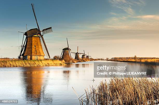 windmills at sunset in kinderdijk - netherlands stock-fotos und bilder