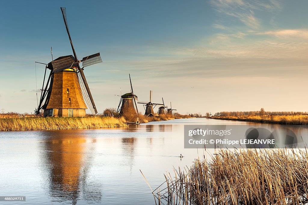 Windmills at sunset in Kinderdijk