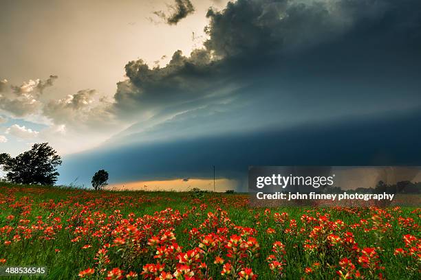 oklahoma tornado storm - oklahoma v kansas stockfoto's en -beelden