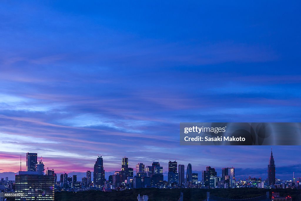 Sunset view of Tokyo