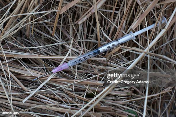 needle in a haystack - hatboro fotografías e imágenes de stock