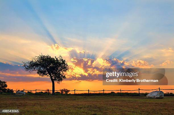 Sunray Texas Photos and Premium High Res Pictures - Getty Images