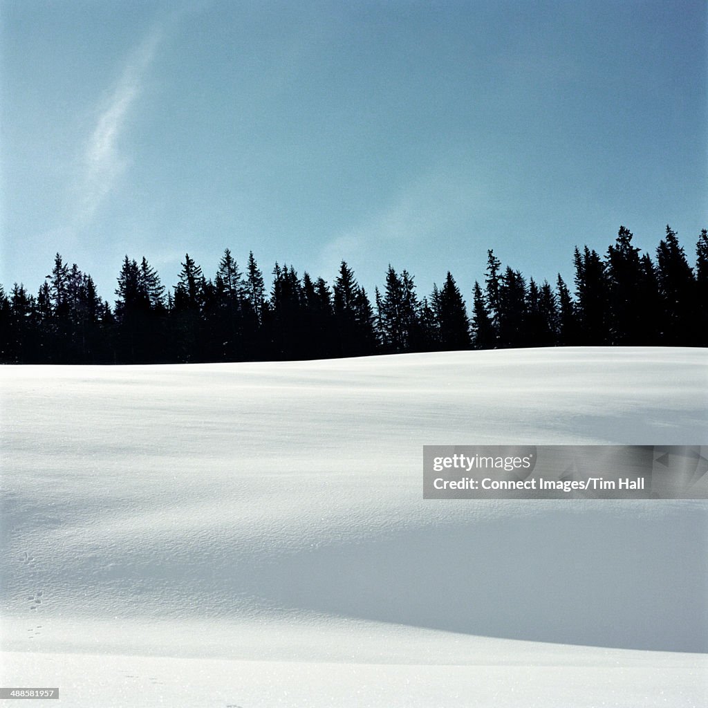 Snow-covered landscape, Lech, Austria