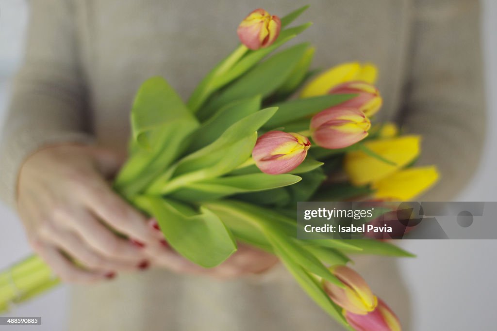 Tulips