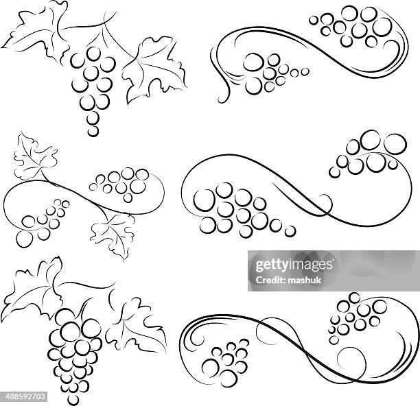 illustrazioni stock, clip art, cartoni animati e icone di tendenza di uva - vineyard leafs