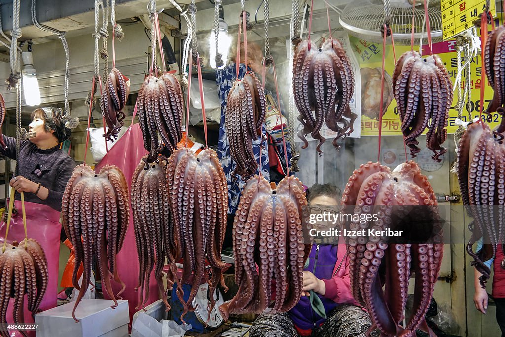 Gyeongju market Octopus stalls