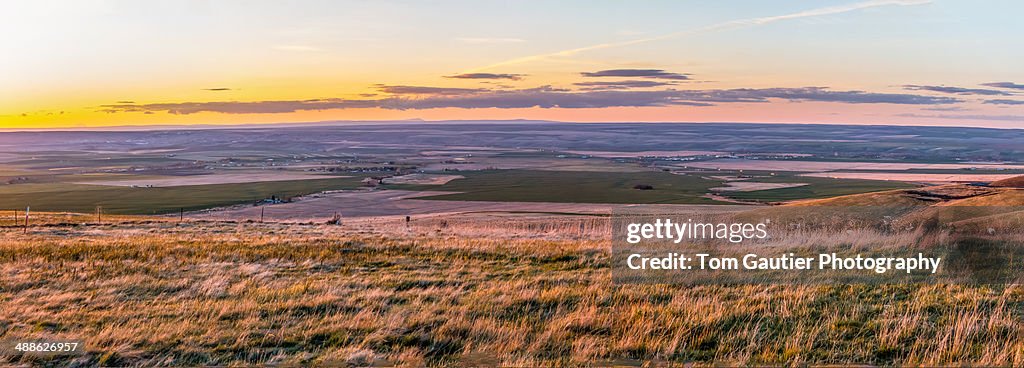 Elevated sunset panorama of Pendleton farmland
