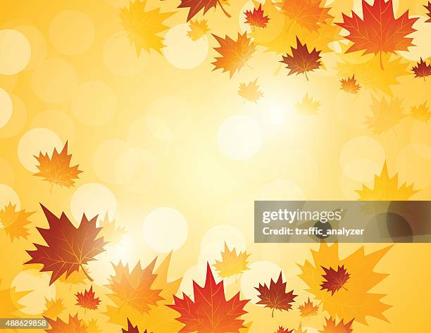 autumn background - maple leaf background stock illustrations