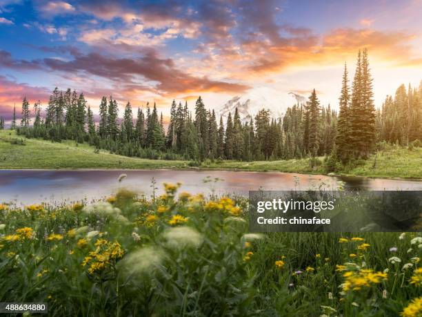 mt.rainier see lake tipsoo von - dirt road landscape sunset stock-fotos und bilder