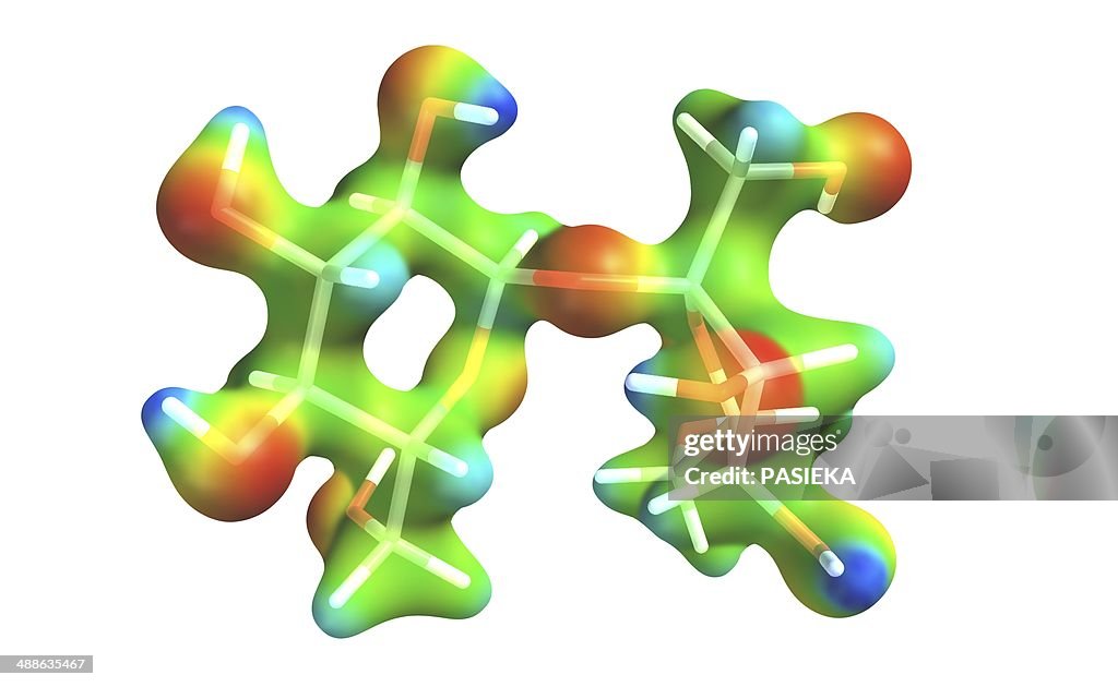 Sucrose molecule