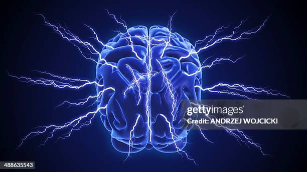 human brain, artwork - cerebral cortex stock-grafiken, -clipart, -cartoons und -symbole