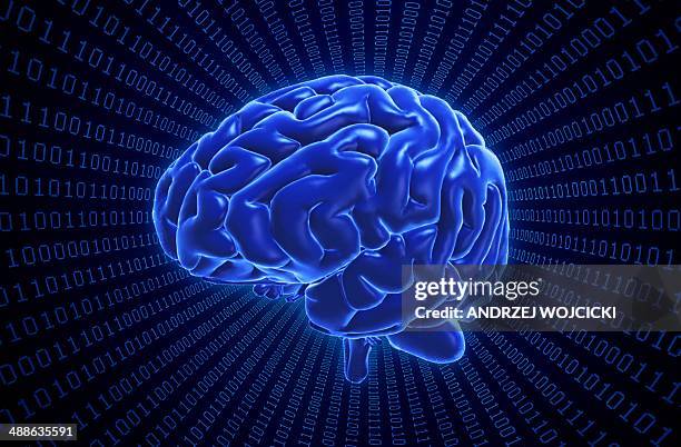 Algorithm Brain Photos and Premium High Res Pictures - Getty Images