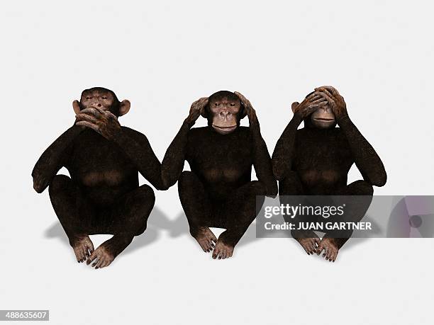 communication, conceptual artwork - monkey stock illustrations