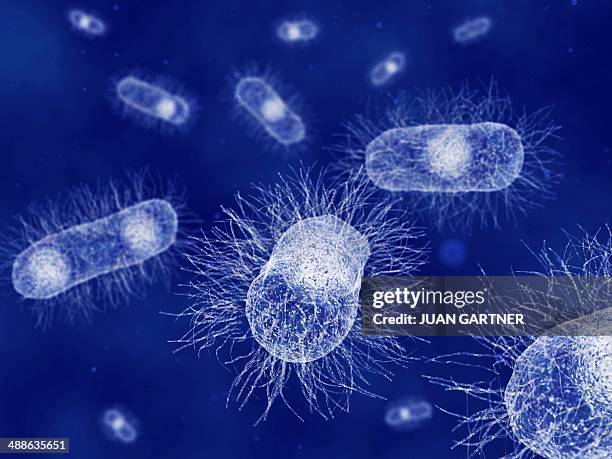 e. coli, artwork - escherichia coli stock-grafiken, -clipart, -cartoons und -symbole