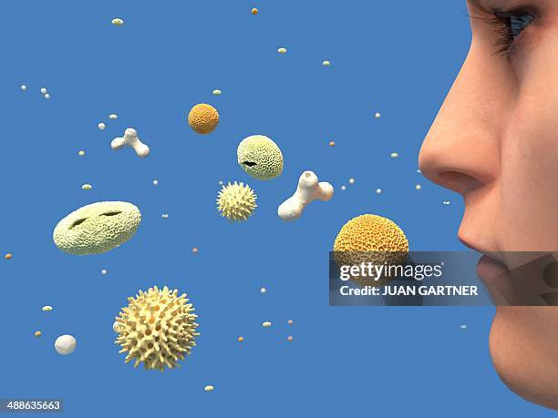 illustrazioni stock, clip art, cartoni animati e icone di tendenza di hay fever, artwork - allergia