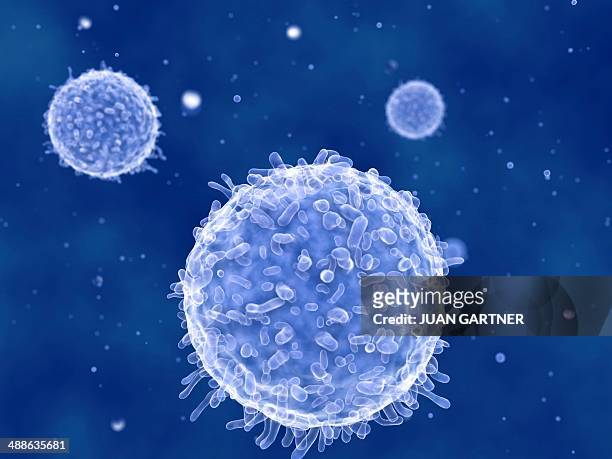 lymphocytes, artwork - biological cell stock illustrations