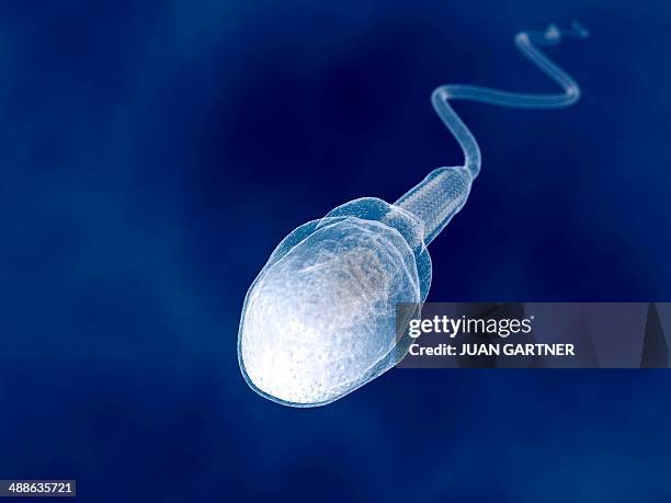 human sperm, artwork - magnification stock illustrations