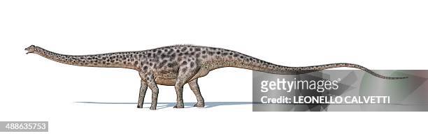 diplodocus dinosaur, artwork - sauropoda stock-grafiken, -clipart, -cartoons und -symbole