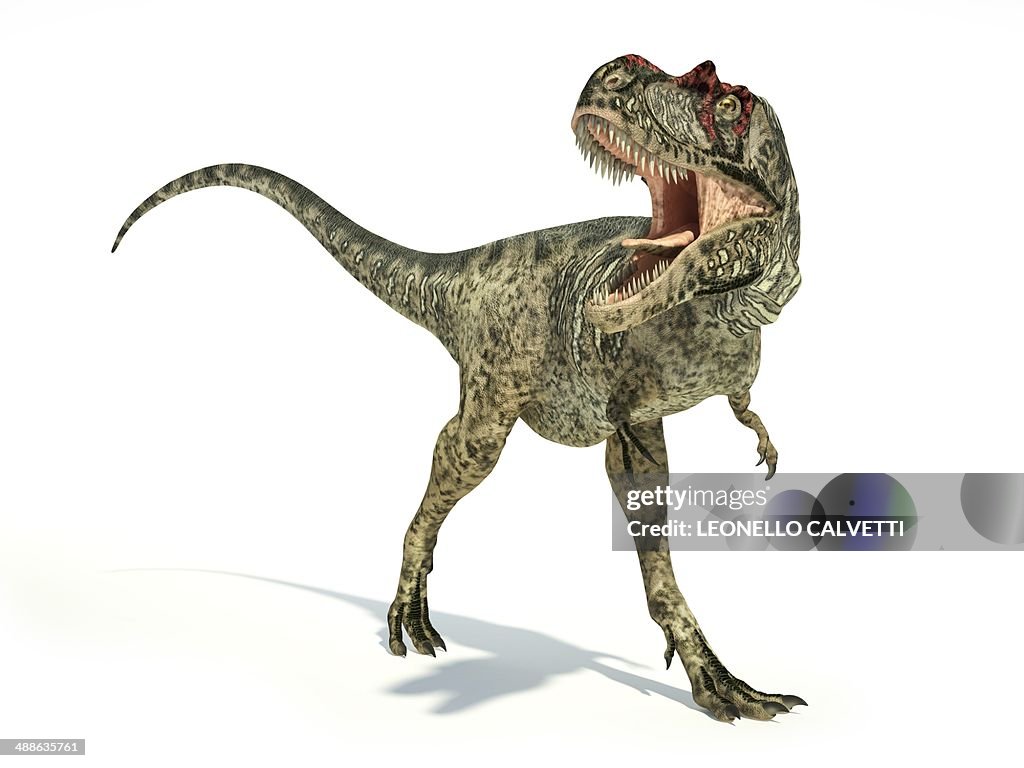 Albertosaurus dinosaur, artwork