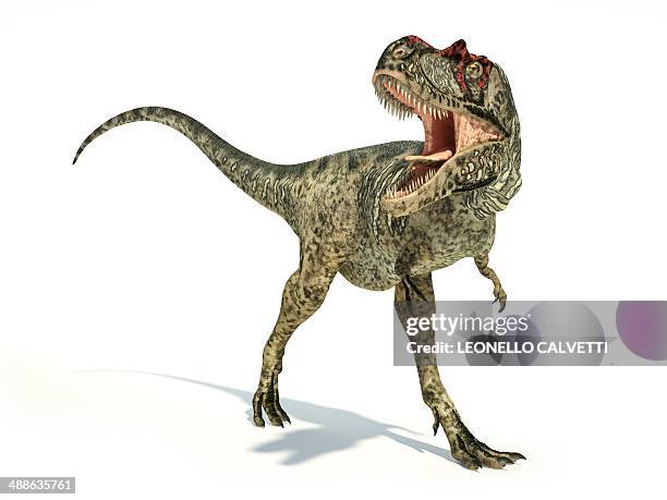 bildbanksillustrationer, clip art samt tecknat material och ikoner med albertosaurus dinosaur, artwork - albertosaurus