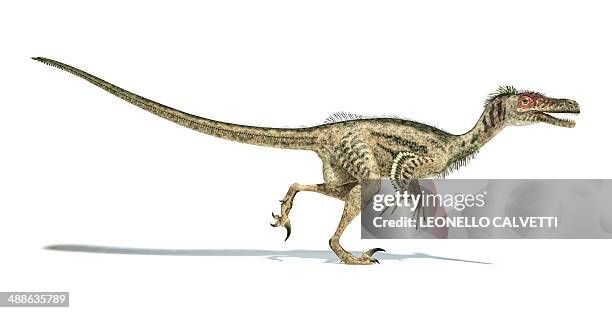 fotos e imágenes de Dinosaurios 3d - Getty Images fotos e imágenes de Dinosaurios 3d - Getty Images