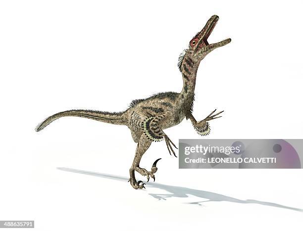 ilustrações, clipart, desenhos animados e ícones de velociraptor dinosaur, artwork - velociraptor