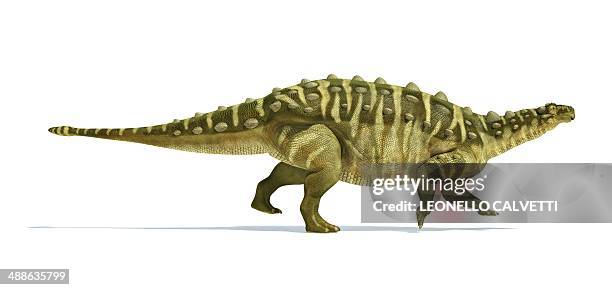 Talarurus 276 Ankylosaurus Stock Photos, High-Res Pictures, and Images - Getty Images