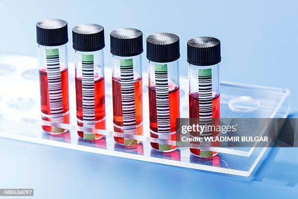 Biological Lab Sample 29,598 Biological Samples Stock Photos, High-Res Pictures, and Images ...