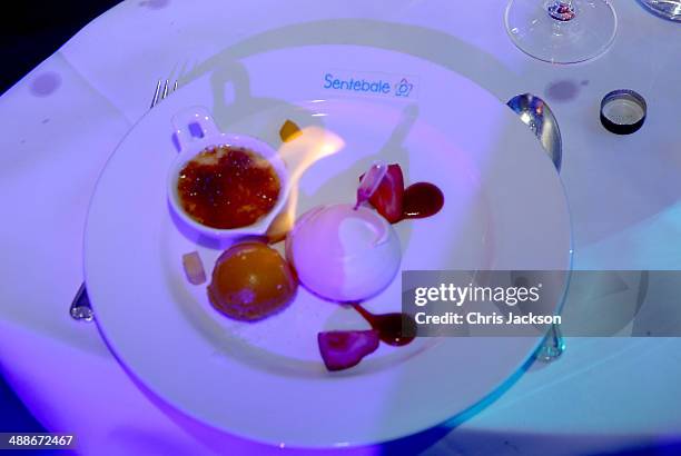 General view during the Sentebale Summer Party at the Dorchester Hotel on May 7, 2014 in London, England.