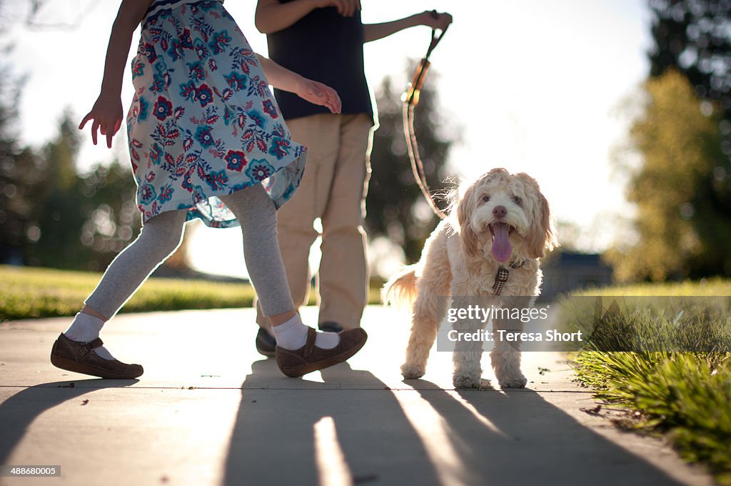Two Children Walking Dog