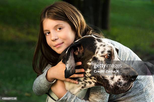 uma garota abraça o grande forte buddy cão dinamarquês - big nose - fotografias e filmes do acervo