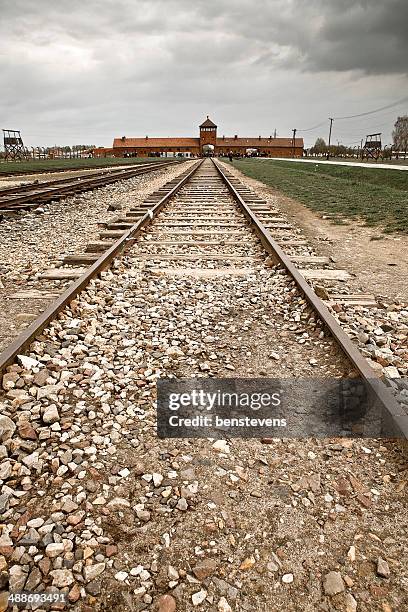 auschwitz - benstevens stock pictures, royalty-free photos & images