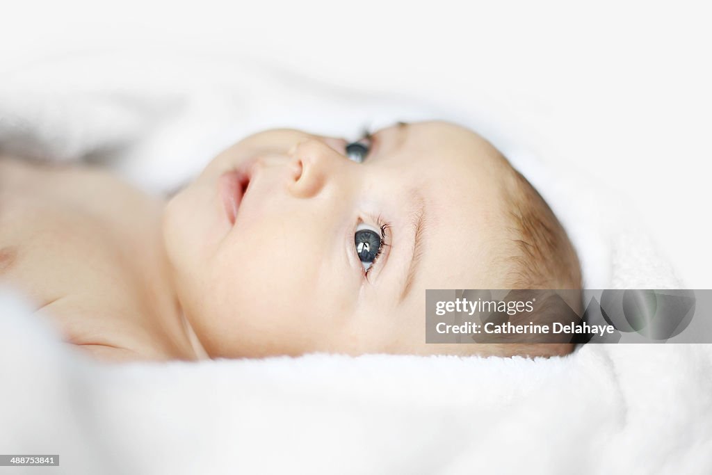 Portrait of a 2 months old baby boy