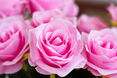 The fibric pink rose flowe