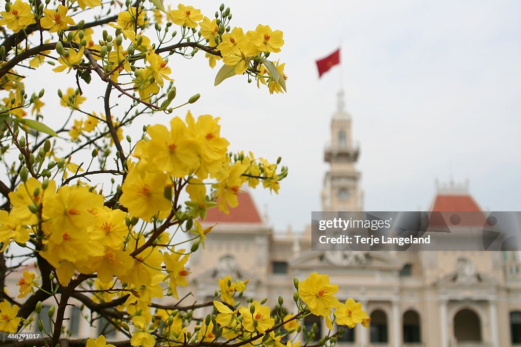 Ho Chi Minh City People's Committee Building