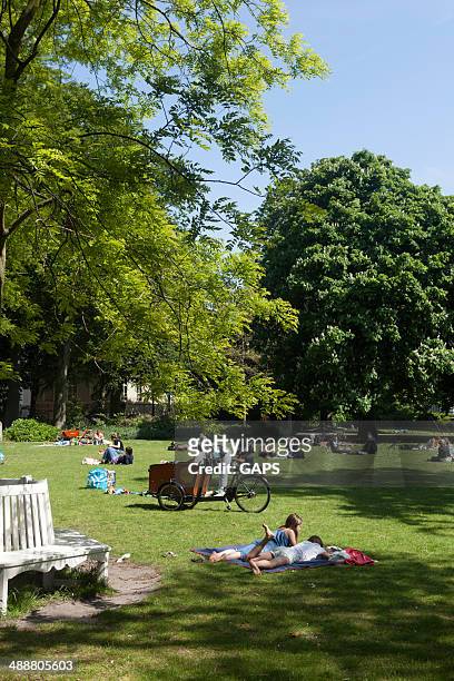 people relaxing in the palace garden - noordeinde palace stock pictures, royalty-free photos & images