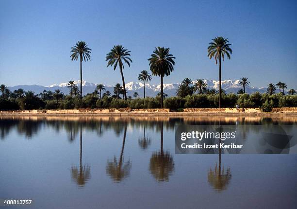 waterpool,atlas mountains, marrakech - marrakesh stock pictures, royalty-free photos & images