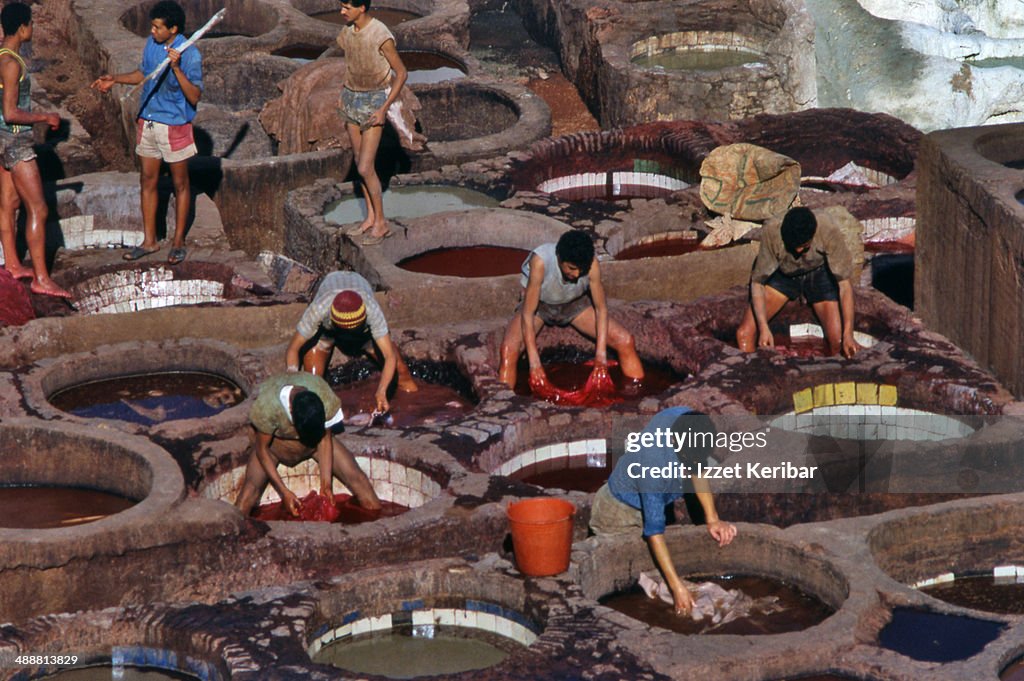 Dyeing skins at Fez traditional tanneries