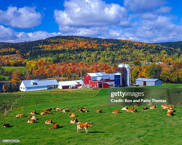 autumn colors with farm in the green mountains, vt - lada jordbruksbyggnad bildbanksfoton och bilder