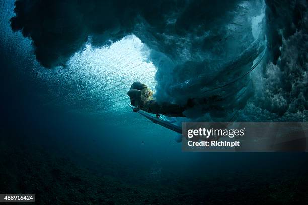 dark duck dive into the light - duck dive stock pictures, royalty-free photos & images