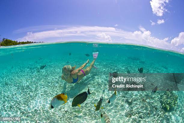 swimming girl in tropical lagoon with fish and sky - maldives sport stock pictures, royalty-free photos & images