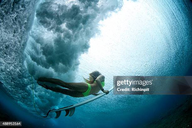 duck dive from beneath the water - duck dive stock pictures, royalty-free photos & images