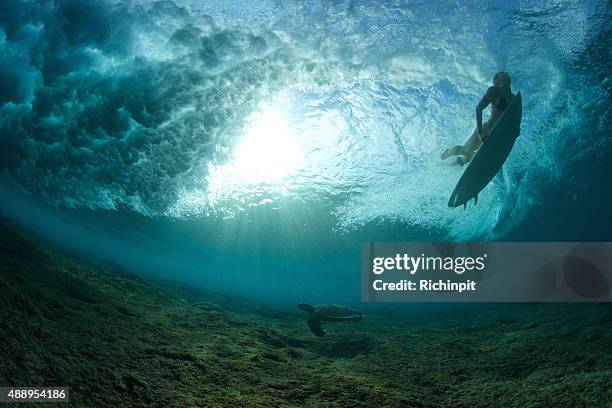 surfer girl duck dives a wave with a turtle - duck dive stock pictures, royalty-free photos & images