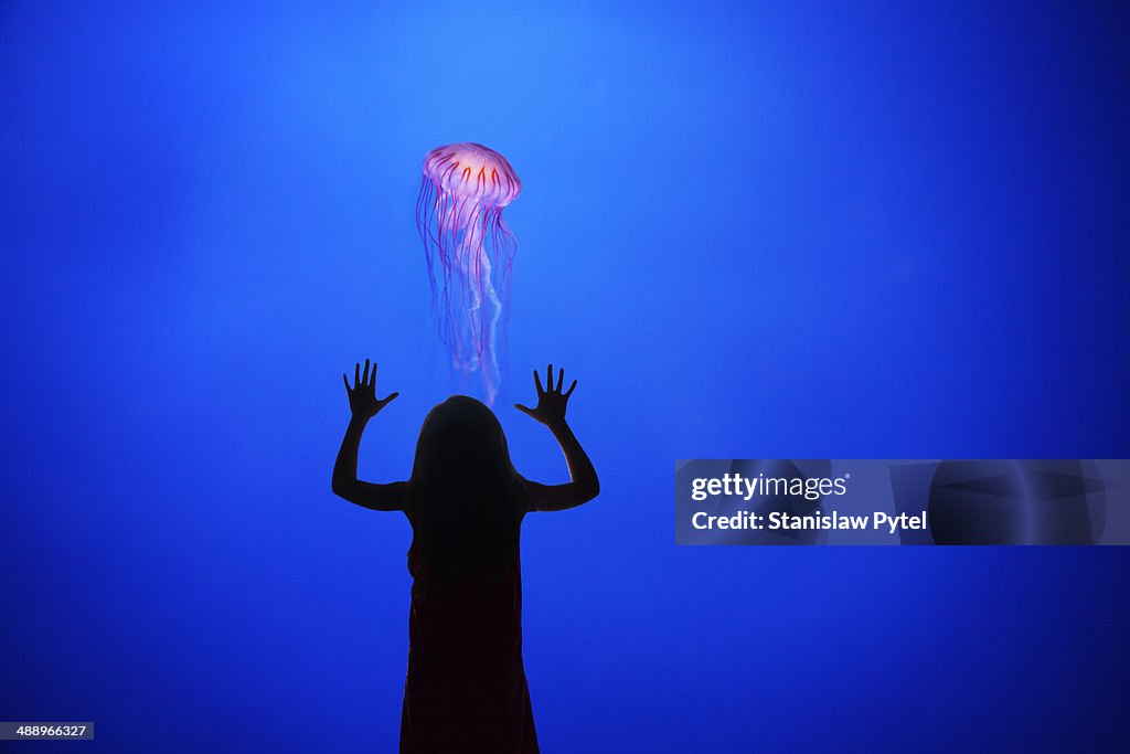 Girl watching jellyfish in aquarium